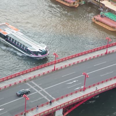 Croisière sur le fleuve Sumida à Tokyo
