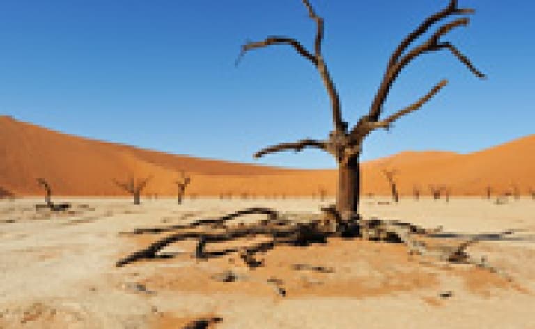 Incroyable survol en montgolfière des dunes de Sossusvlei