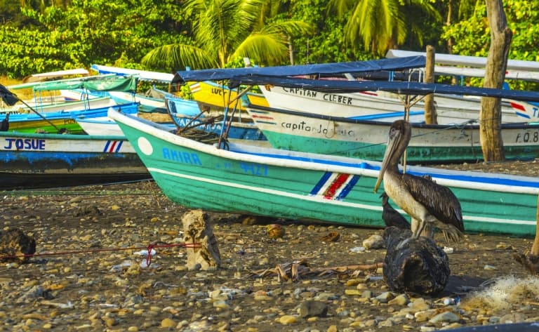 Tour en pirogue et rencontre avec les indiens de Yorkin