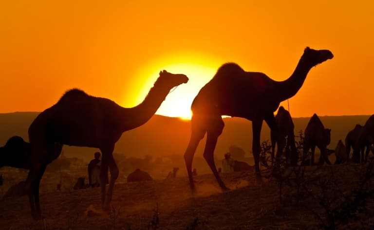 Excursion Eklinji-Nagda au coucher du soleil