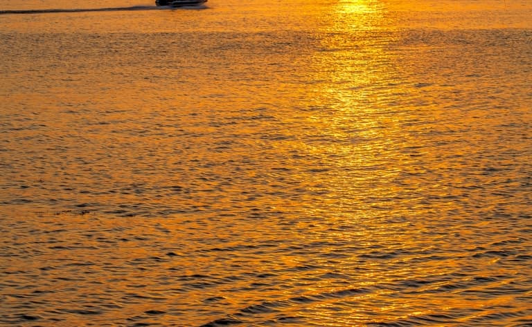Seascope