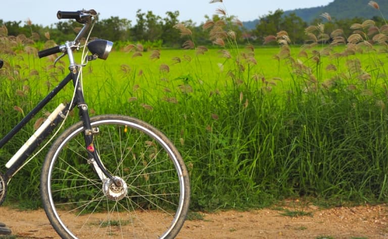 Vélo le long de la rivière des parfums