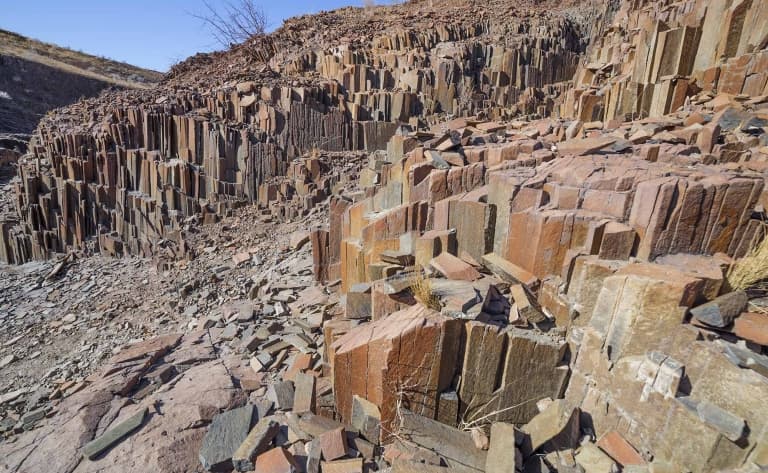 La Forêt pétrifiée du Damaraland